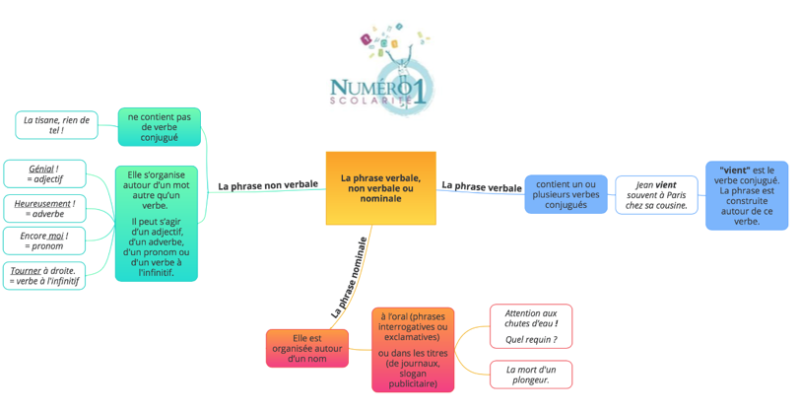 La phrase verbale et non verbale 6ème Leçon et exercices