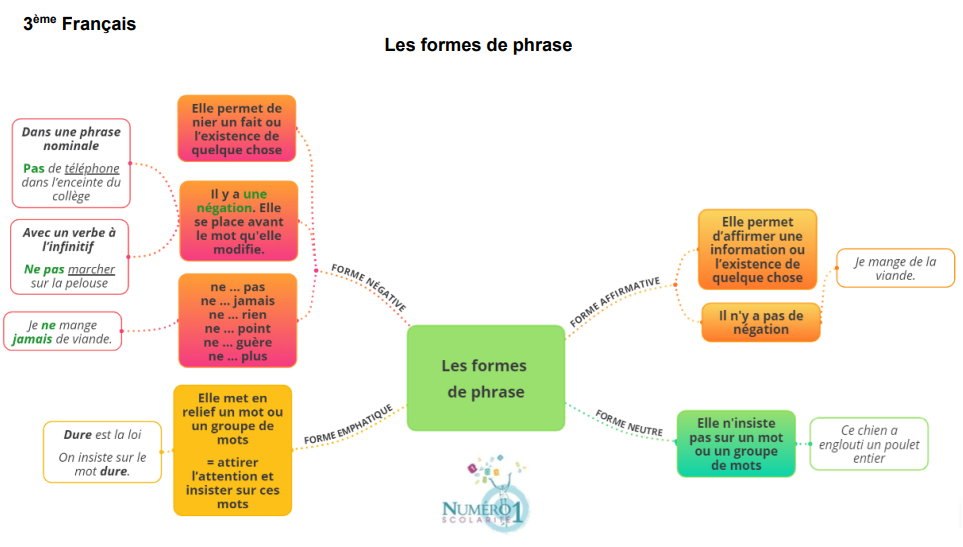 Les formes de phrase : leçon et exercices 3ème