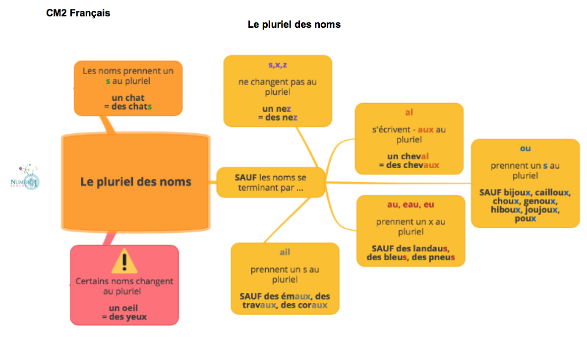 Gratuit en PDF ; Tout le programme de Français CM2 spécial Dys