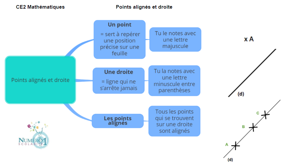 Points alignés et droite ; leçon et exercices CE2