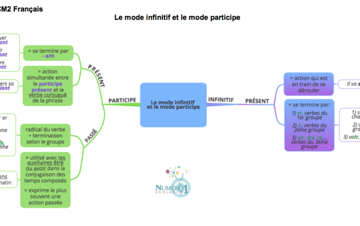 Gratuit en PDF ; Tout le programme de Français CM2 spécial Dys