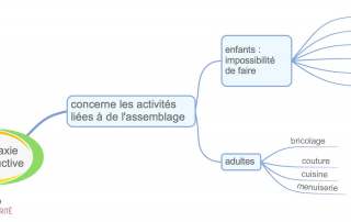 La dyspraxie constructive