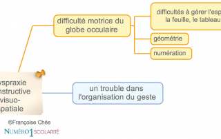Tout savoir sur la dyspraxie visuo-spatiale (DVS)