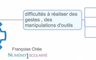 Qu'est-ce que la dyspraxie idéatoire chez l'enfant dyspraxique ?