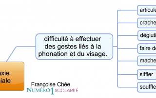 Qu'est ce que la Dyspraxie Orofaciale (verbale Bucco facial) ?