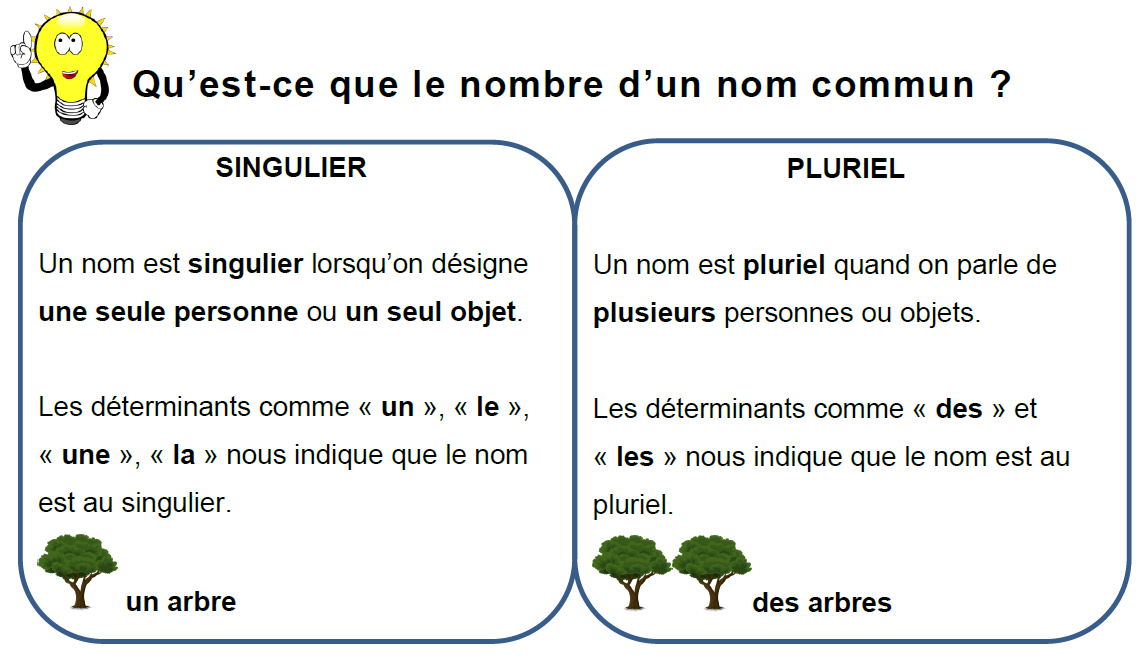 Accord De L Adjectif Qualificatif En Genre Et En Nombre Cm Bilan | Hot ...