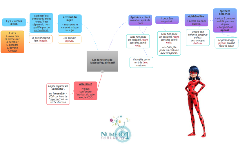 5eme Grammaire Les Fonctions De L Adjectif Qualificatif Lecon Et Exercices