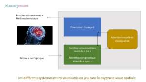 How well does ivermectin work on scabies