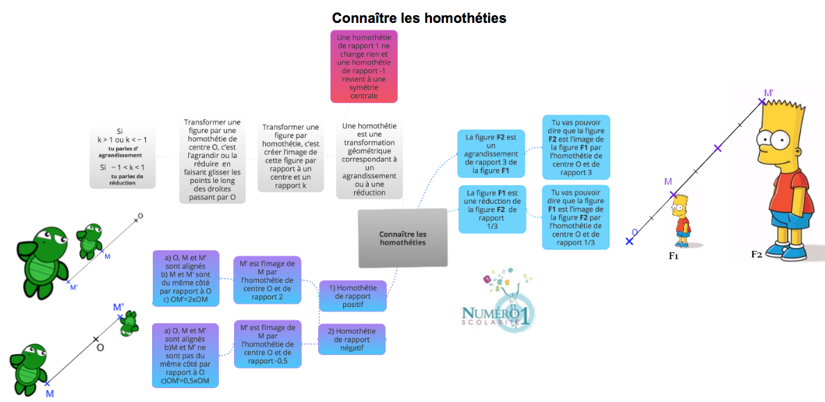 Carte Mentale Svt 3eme Carte Mentale Svt 3eme