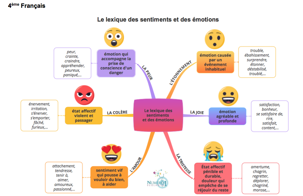 Cartes de vocabulaire : Les émotions, les sensations et les sentiments