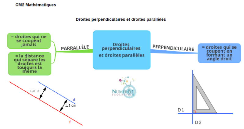 Exercices Droites Parallèles Et Perpendiculaires Cm2 Pdf www.numero1-scolarite.com