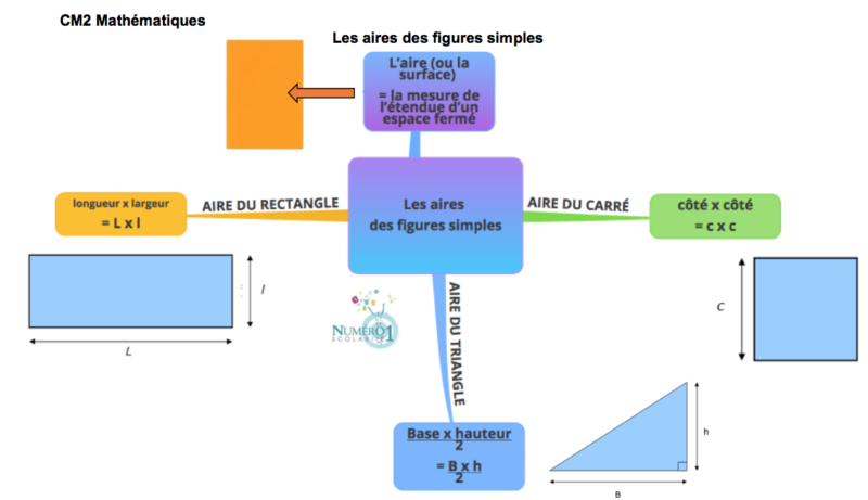 Les aires des figures simples; leçon et exercices CM2
