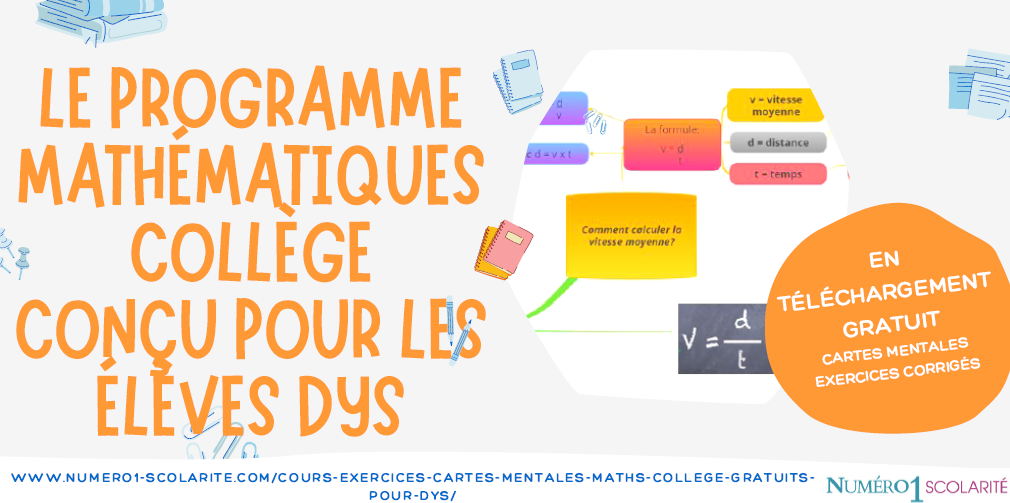 programme maths collège pour dys imprimer pdf