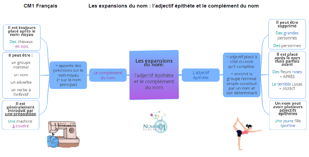 Les expansions du nom l’adjectif épithète et le complément du nom