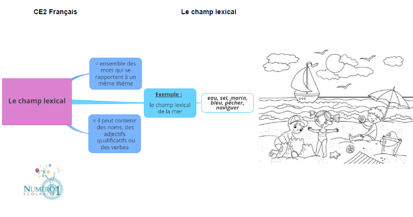 Le Champ Lexical Leçon Et Exercices Ce2