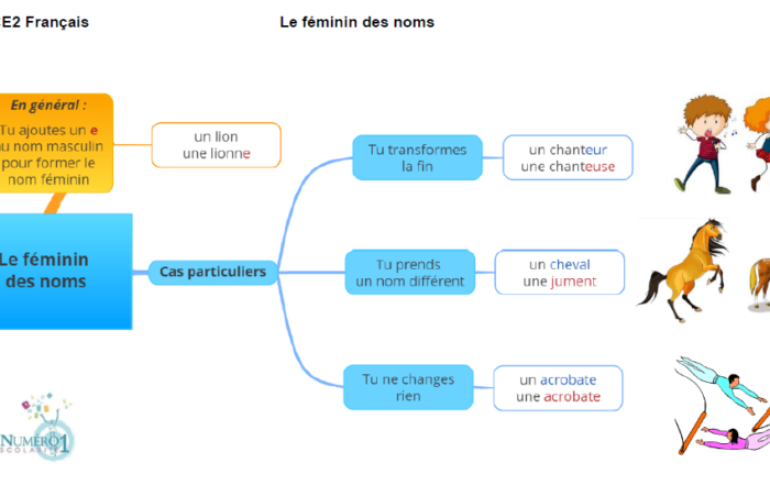 Exercice Français Ce2 En Ligne Gratuit www.numero1-scolarite.com