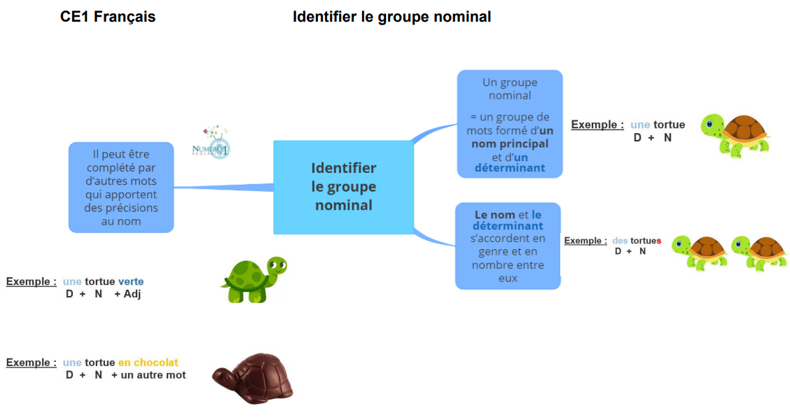 Cours, exercices et leçons de français pour les dys gratuits