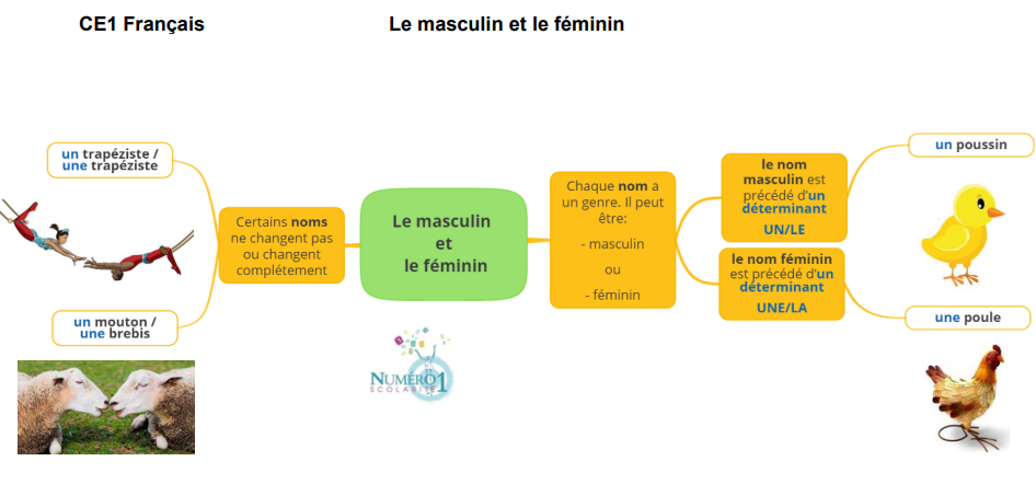 Féminin