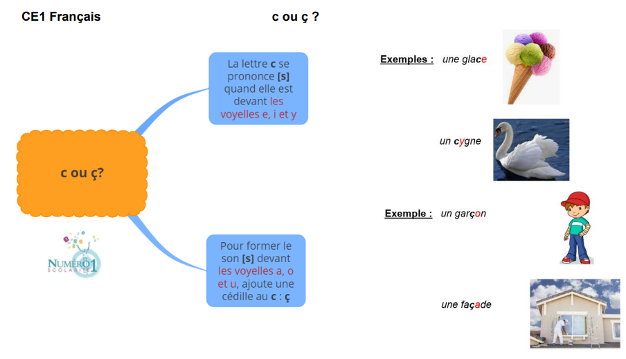 Mots à former - Exercices en CE1